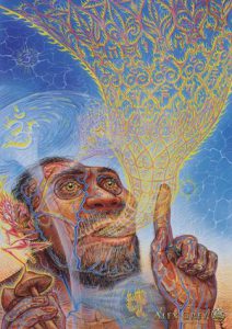 The Origins of Language